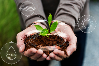 pergomambiental_servicosprojetos_rev00